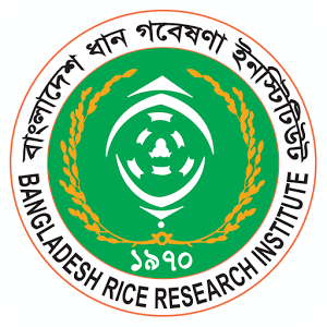BRRI Logo